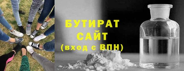 крисы Бородино