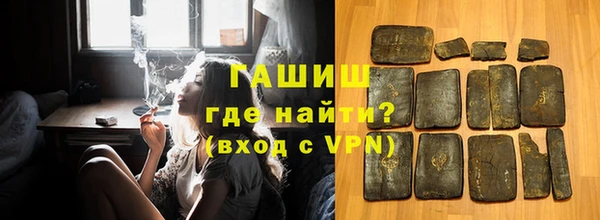 крисы Бородино