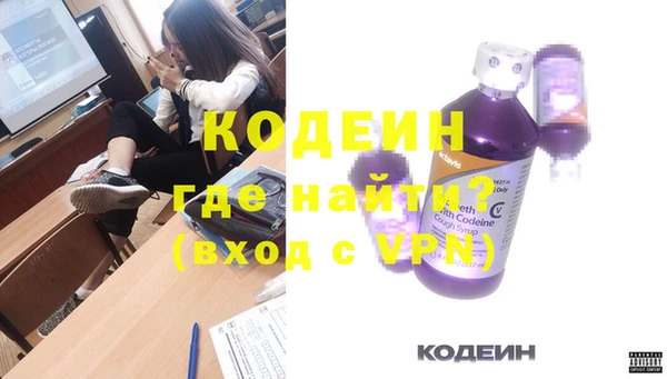 крисы Бородино