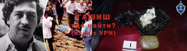крисы Бородино