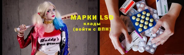 крисы Бородино