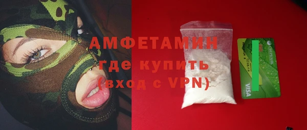 крисы Бородино