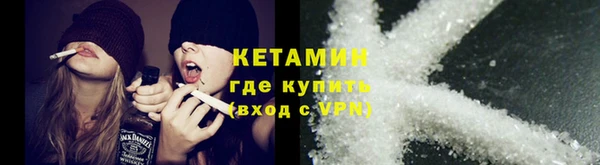 крисы Бородино