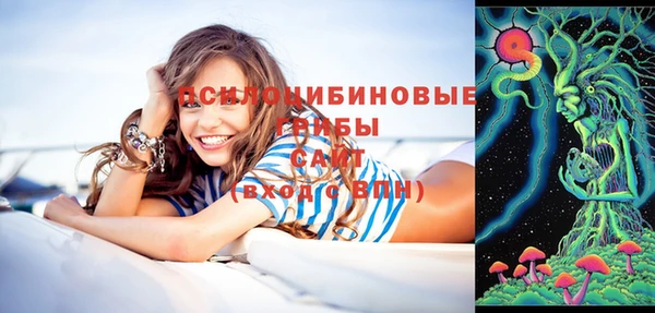 ПСИЛОЦИБИНОВЫЕ ГРИБЫ Бугульма