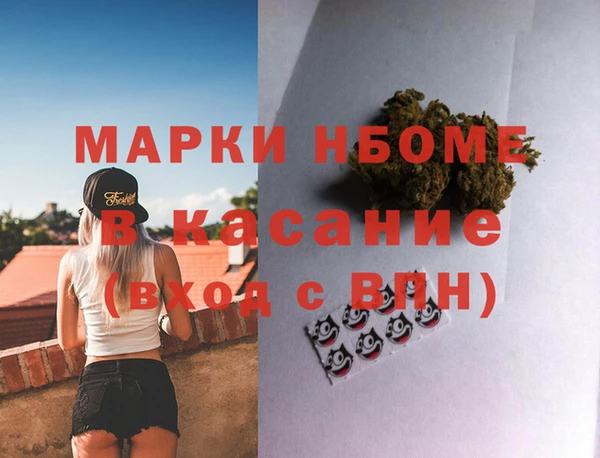 крисы Бородино