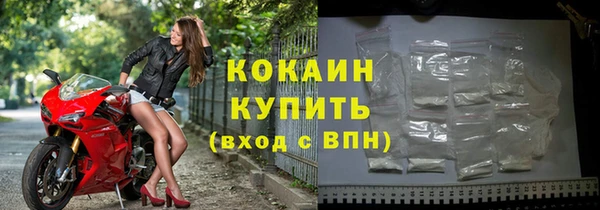 крисы Бородино
