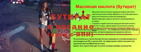 крисы Бородино