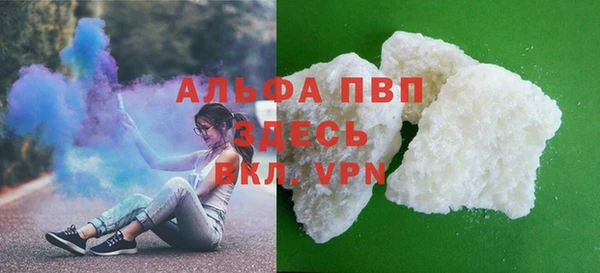 крисы Бородино