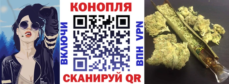 Конопля планчик  как найти   Бутурлиновка 